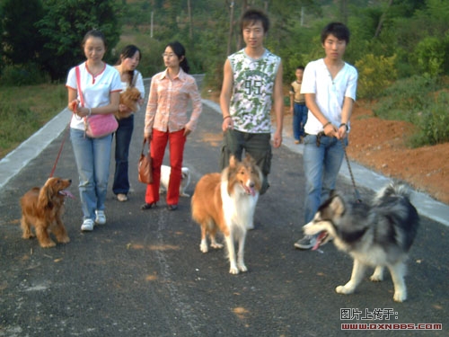PICT0037.jpg