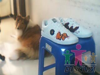 ͼƬ 006.jpg