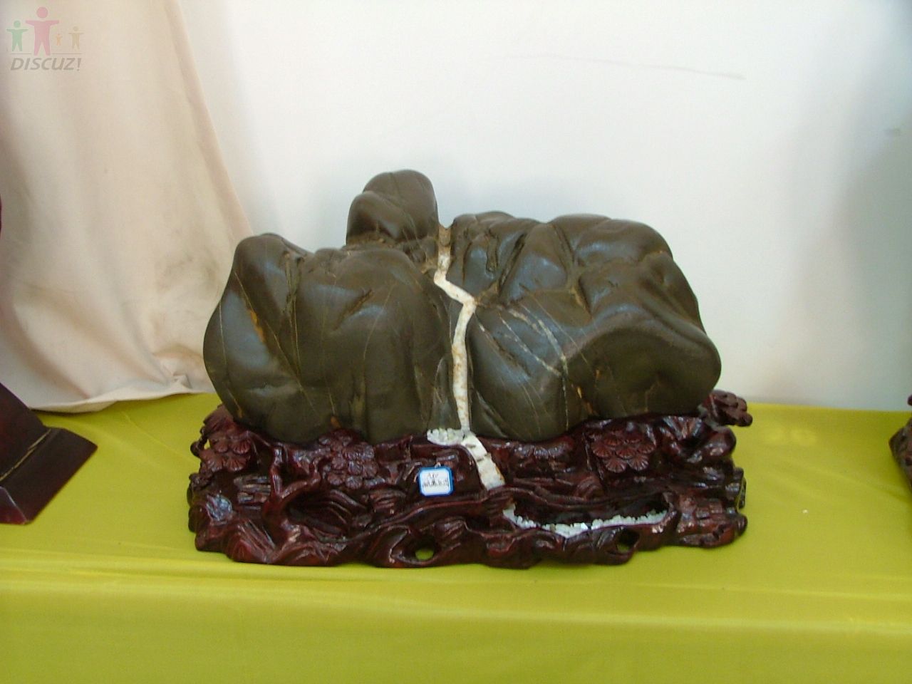 DSCF1335.JPG
