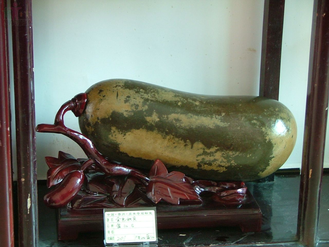 DSCF1137.JPG