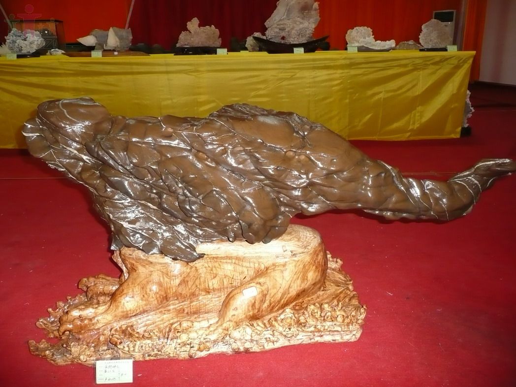 P1000826.jpg