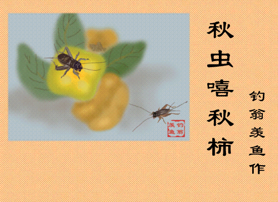 550_400_2d19d682557ab934.gif
