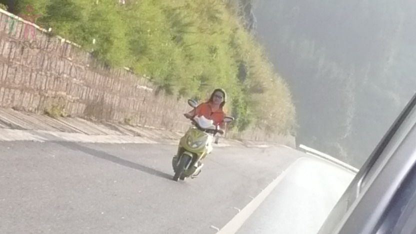 P1010239.jpg