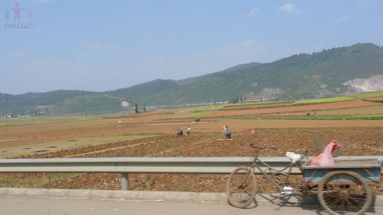 P1010211.jpg