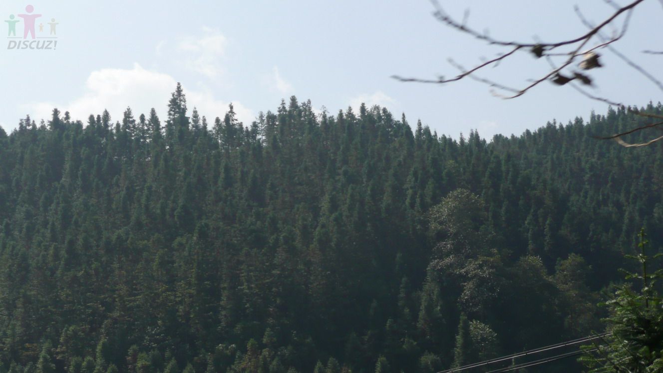 P1010212.jpg