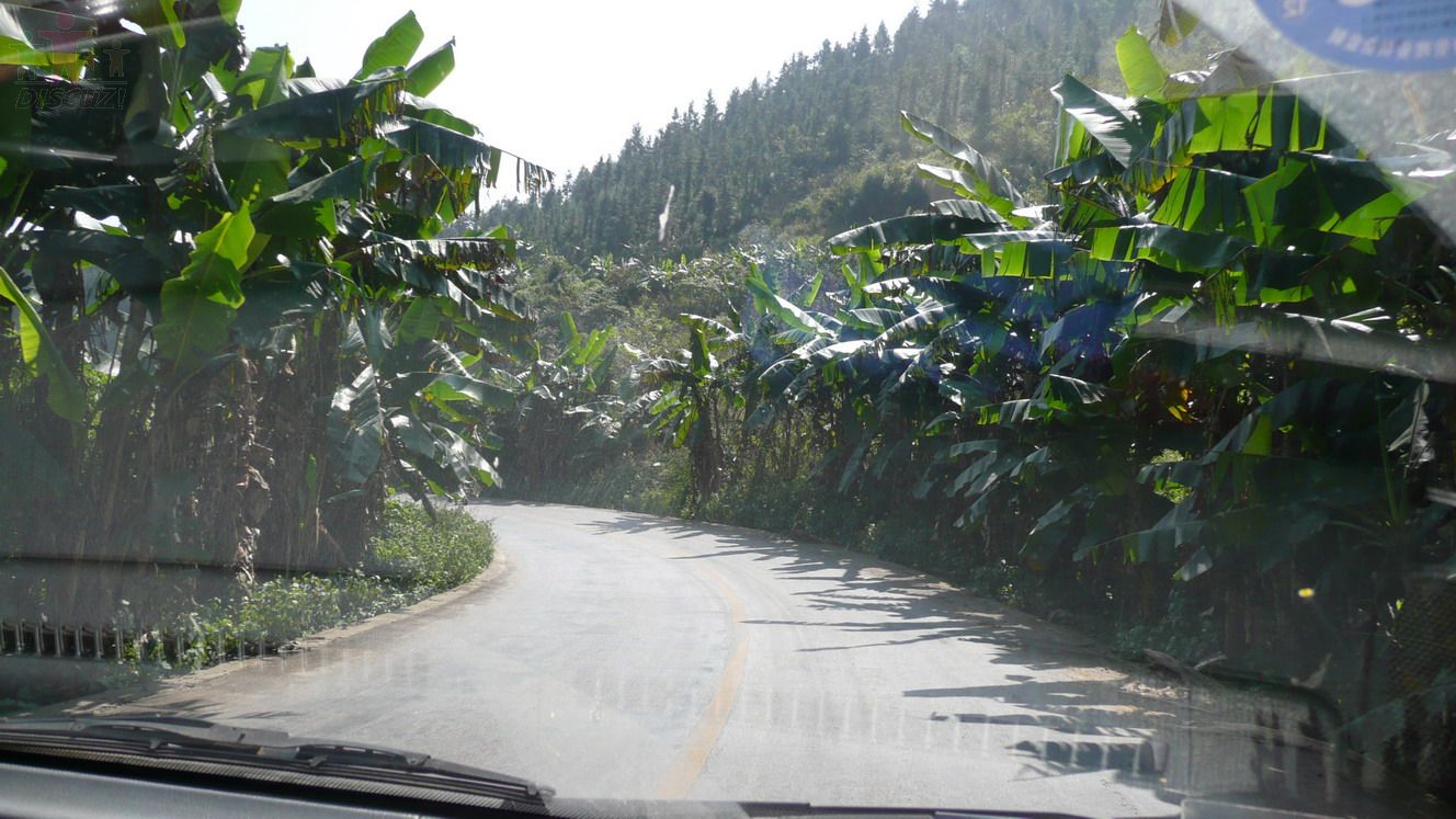 P1010214.jpg