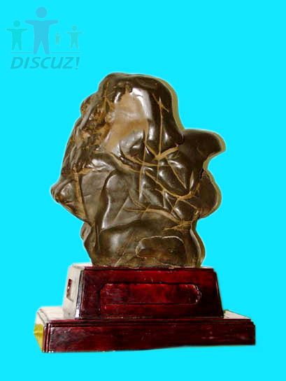 DSCF1353.jpg