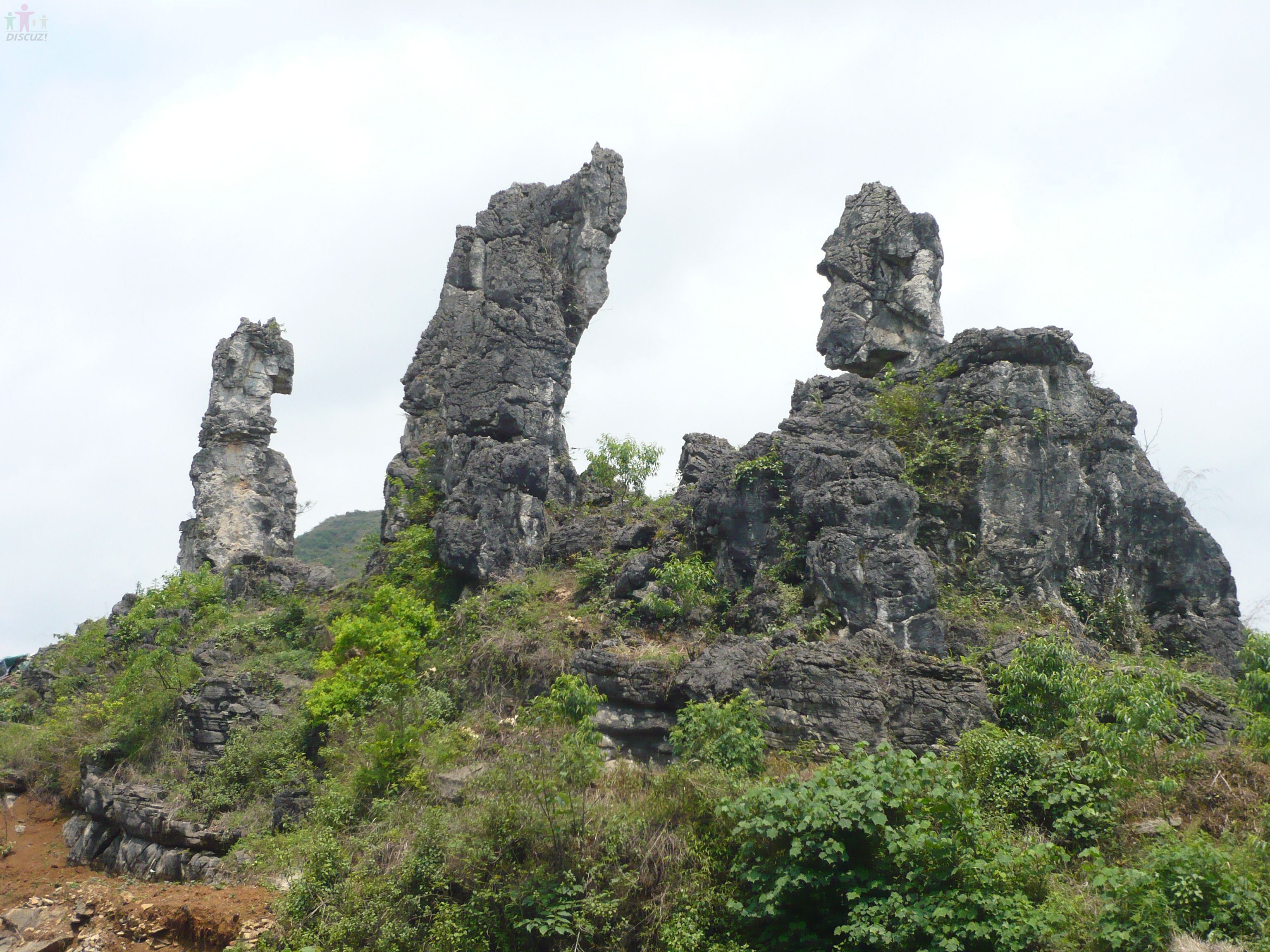 P1000792.JPG