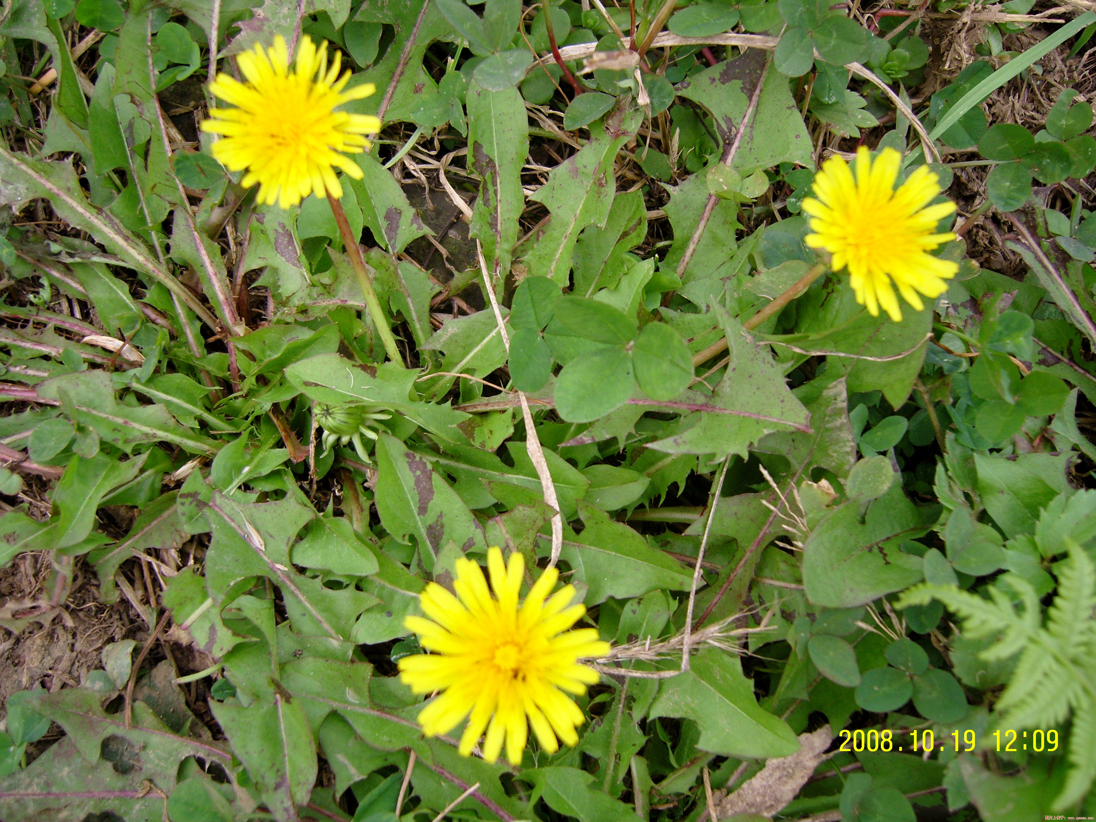 SNC10142.JPG