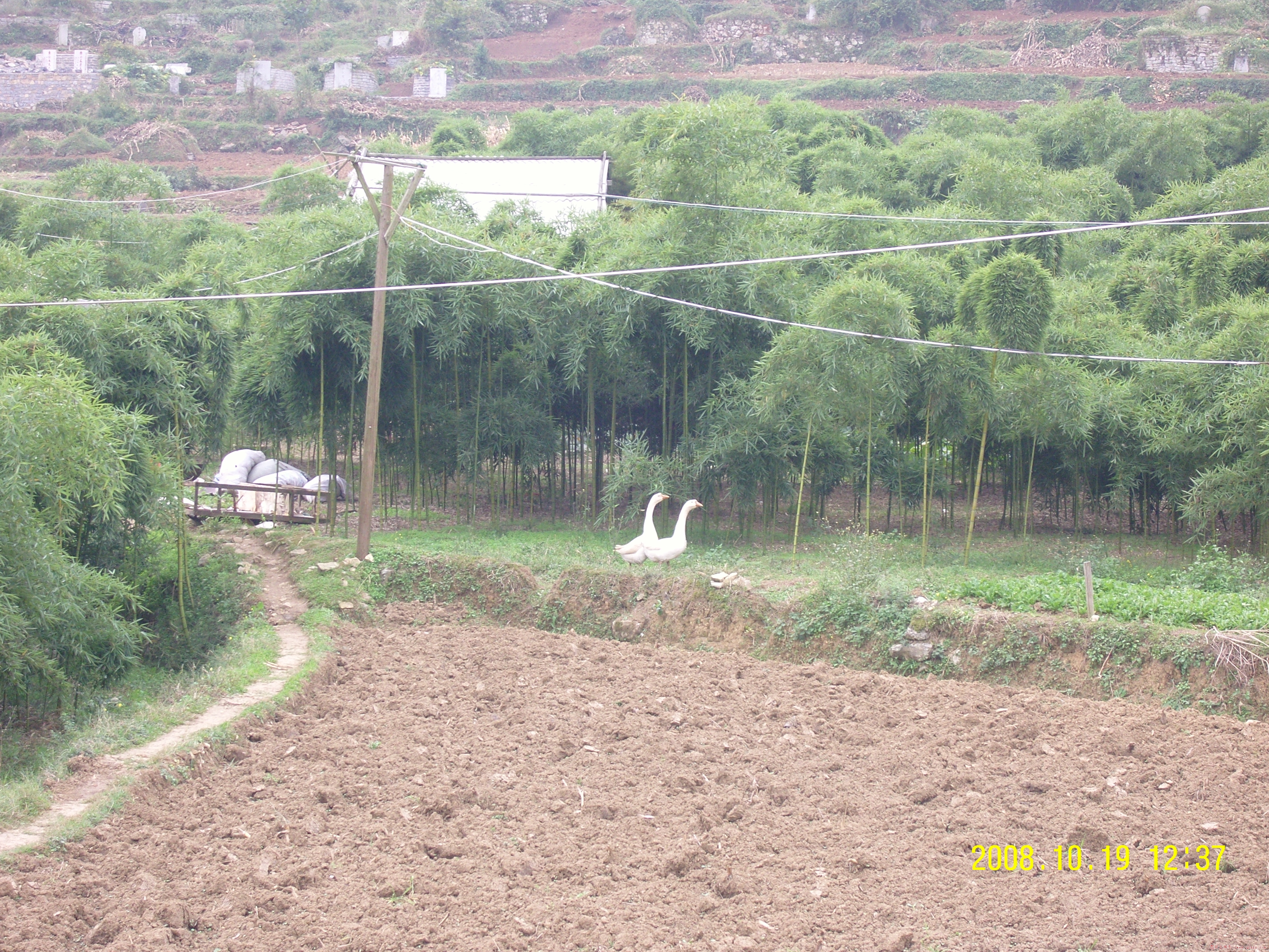 SNC10147.JPG
