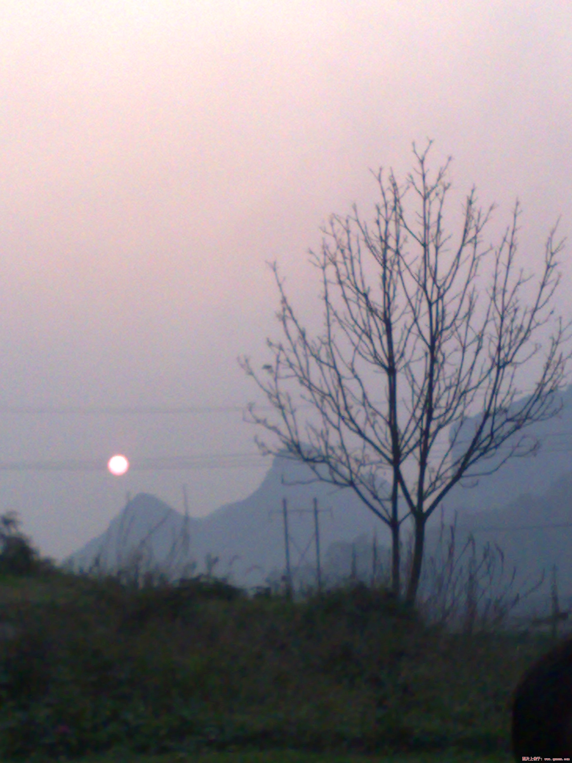 20081018698A.jpg