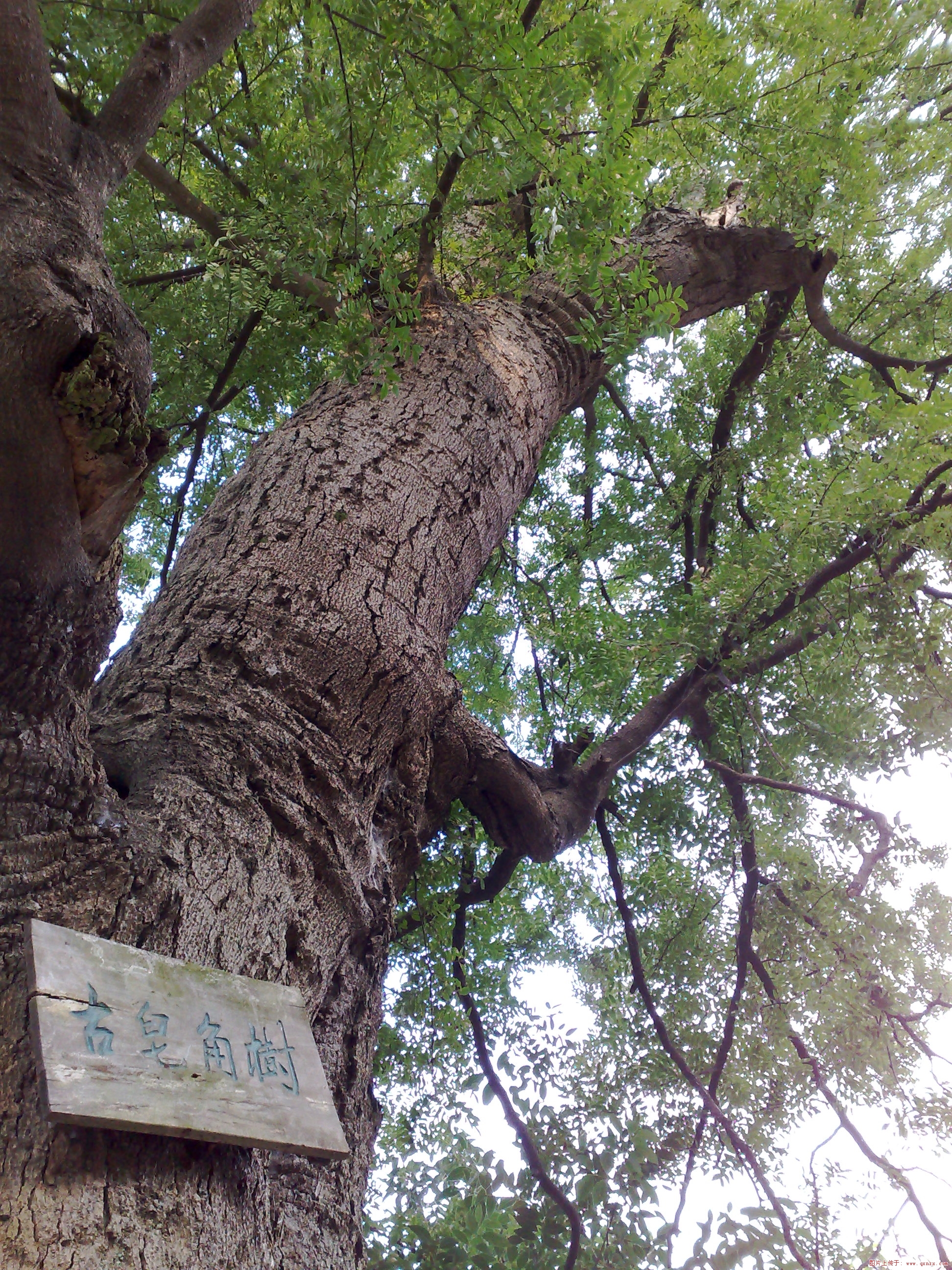 20081018669.jpg
