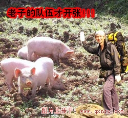 wang.jpg