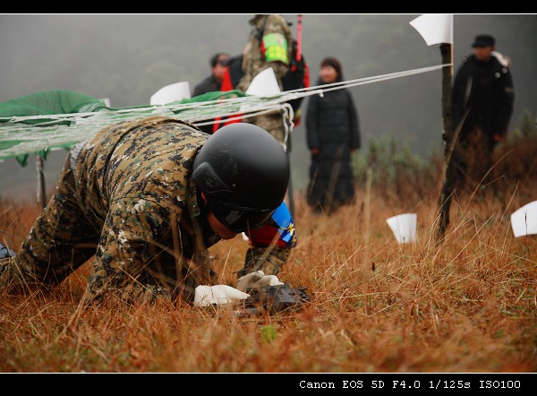 DPP_0197.jpg