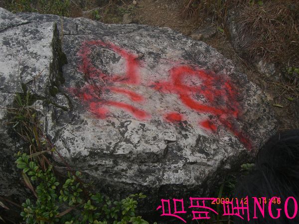 CIMG7677.jpg