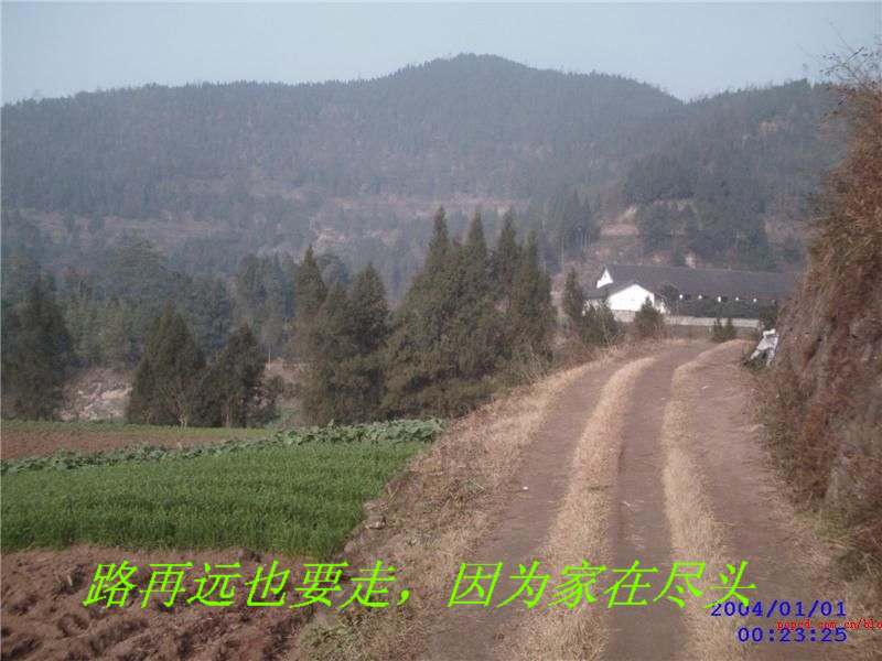 200852913384132.jpg