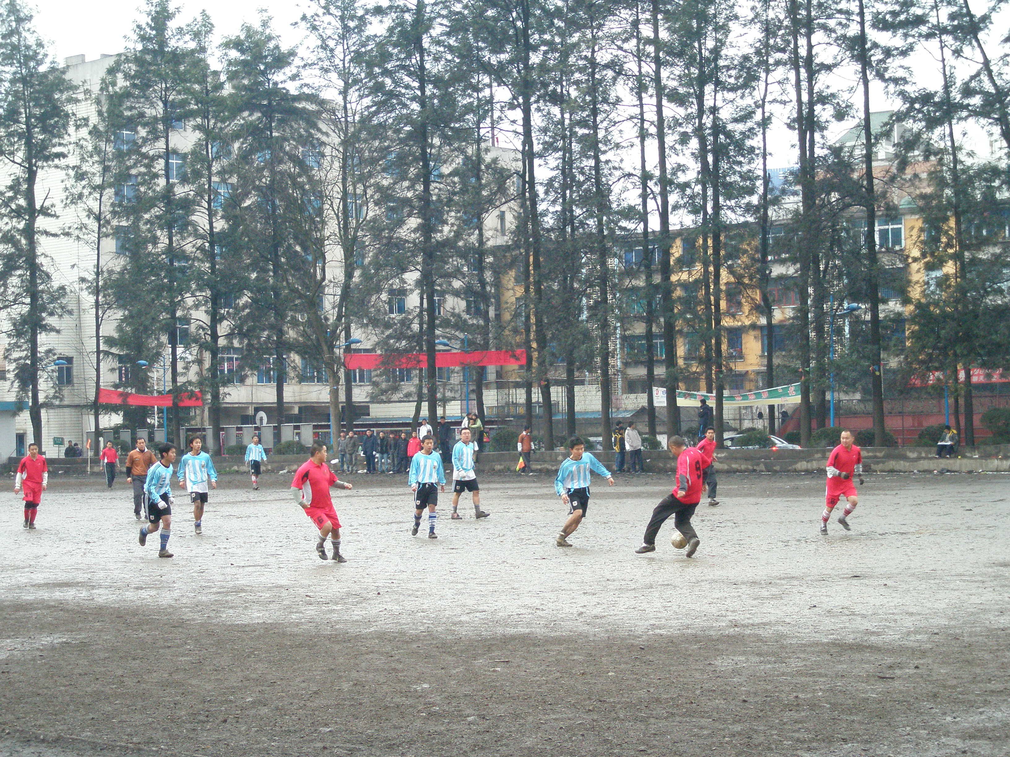 P2110308.JPG
