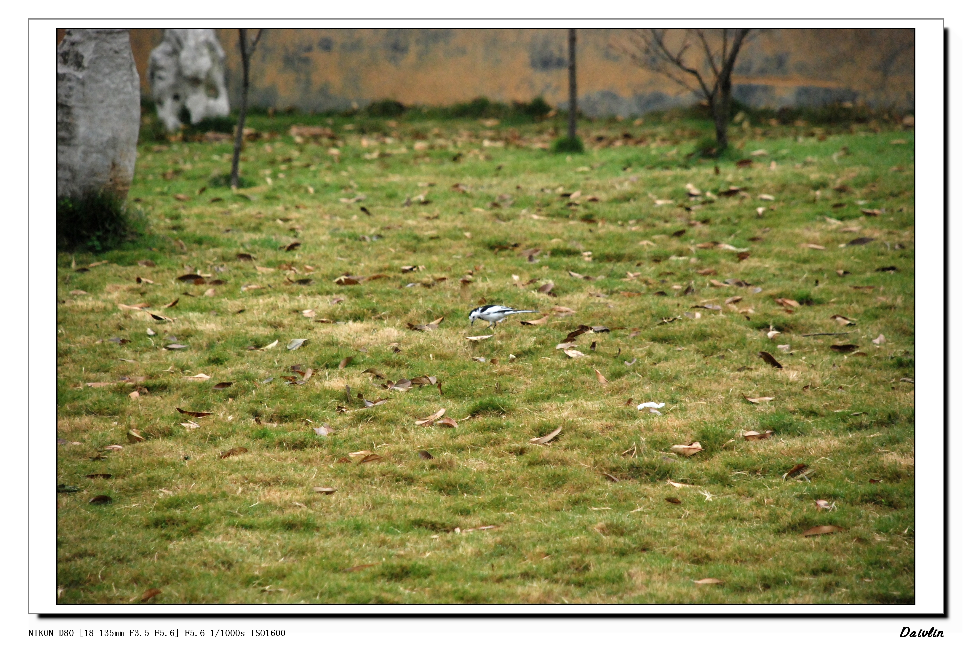 DSC_0002.jpg