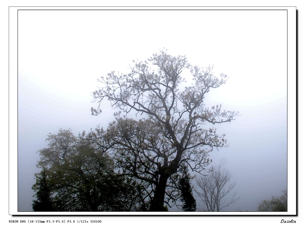 DSC_0015.jpg