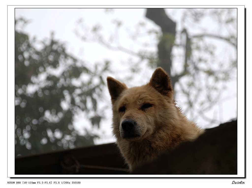 DSC_0042.jpg
