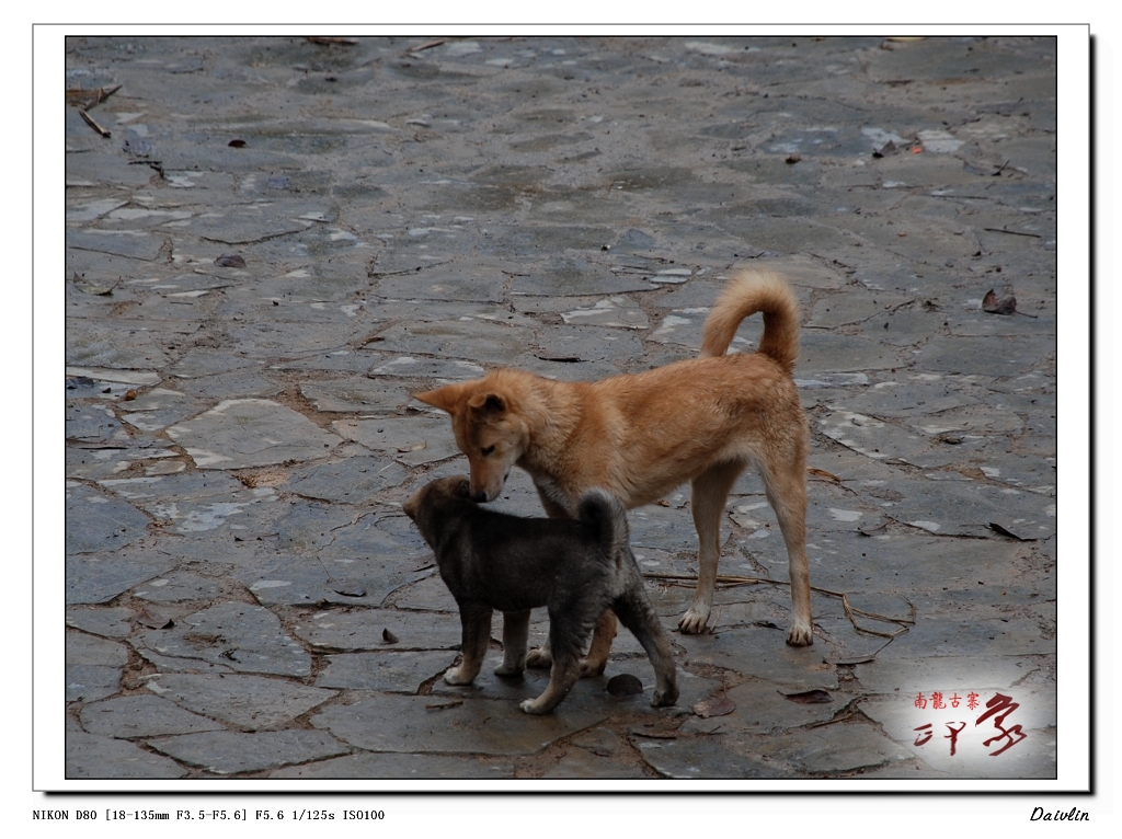 DSC_0355.jpg