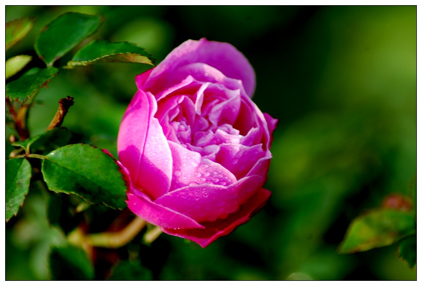 DSC_0165.JPG