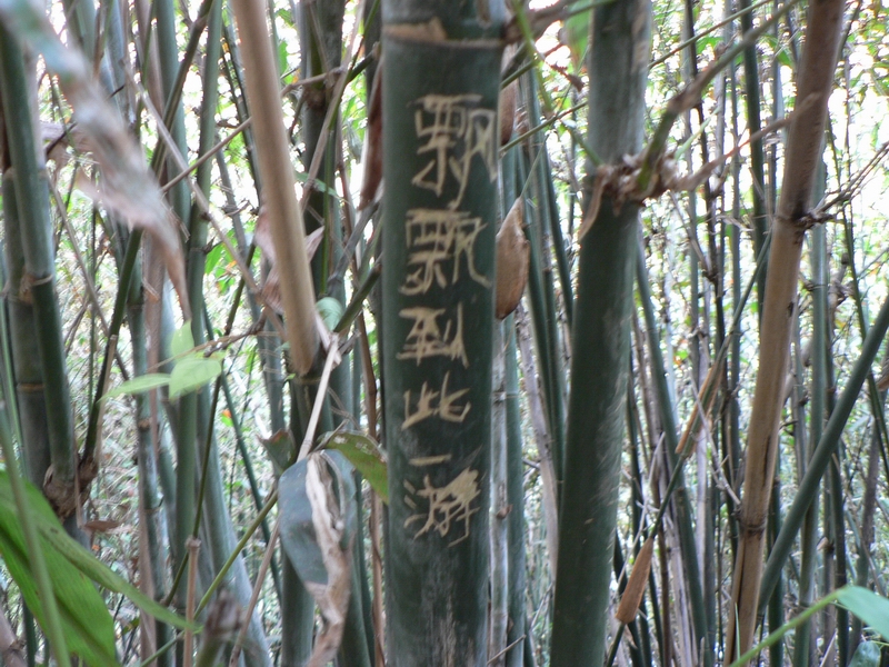 P1080158.jpg