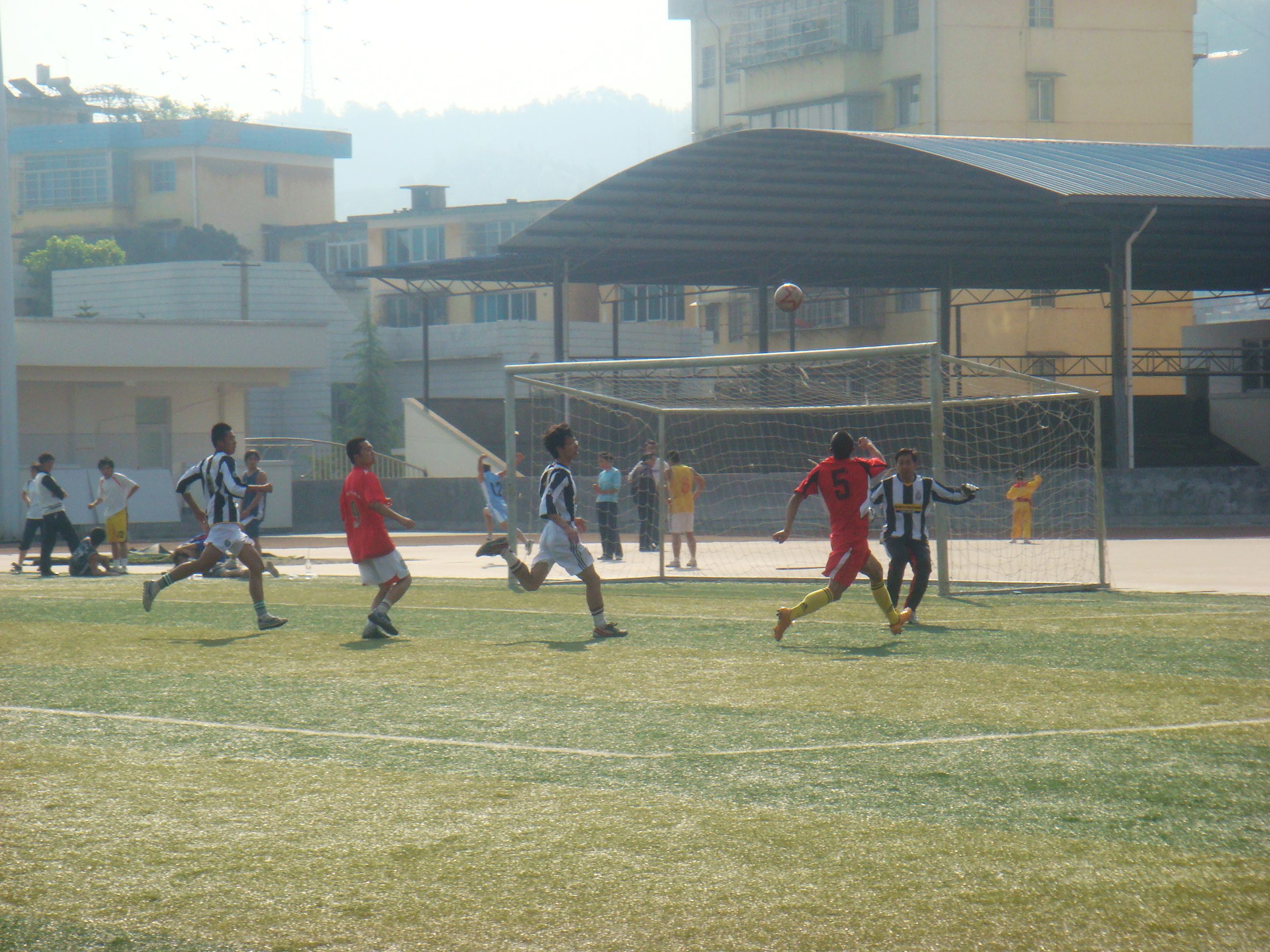 DSC08363.JPG