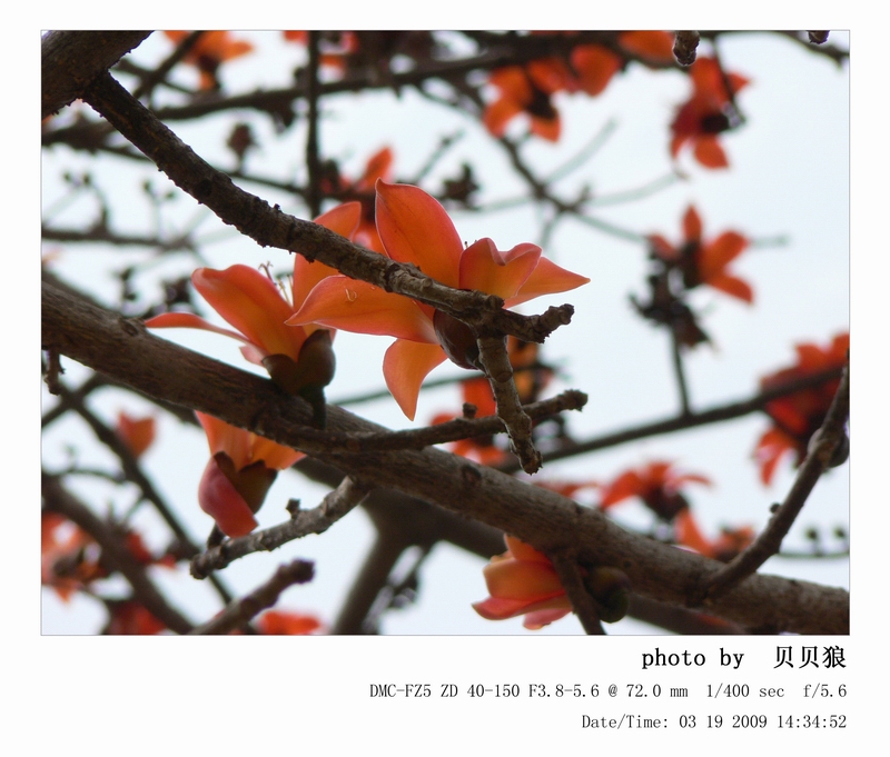 P1080051.jpg
