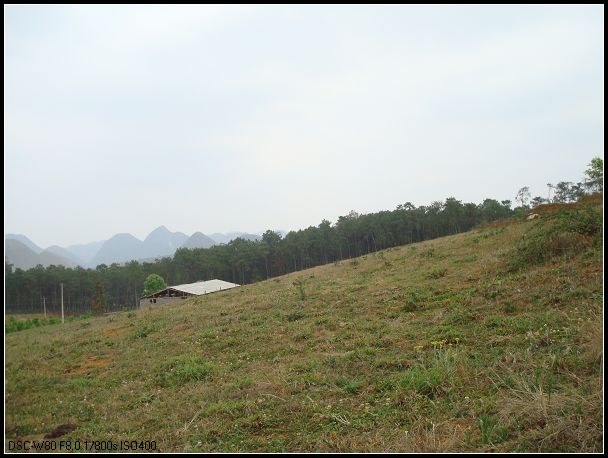 ţ-10.jpg