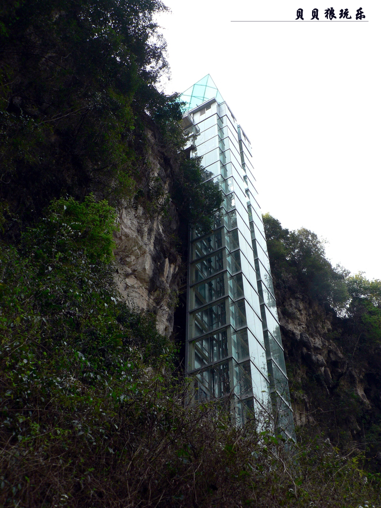 P1080082.jpg