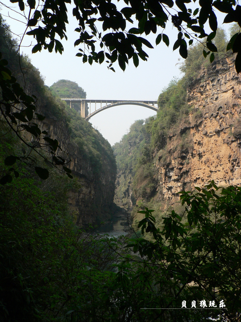 P1080099.jpg