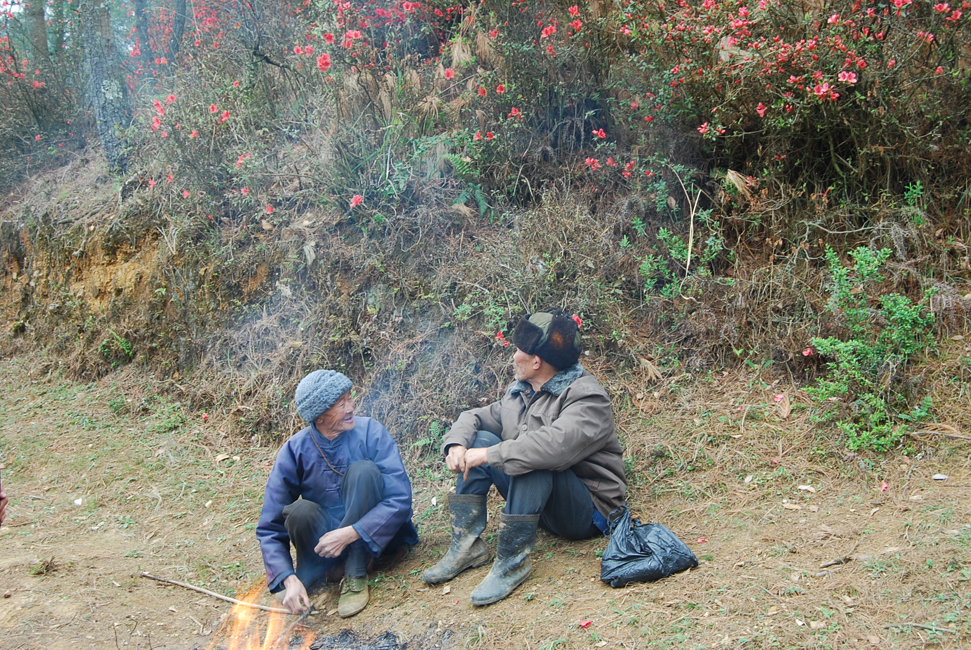 DSC_0871.jpg