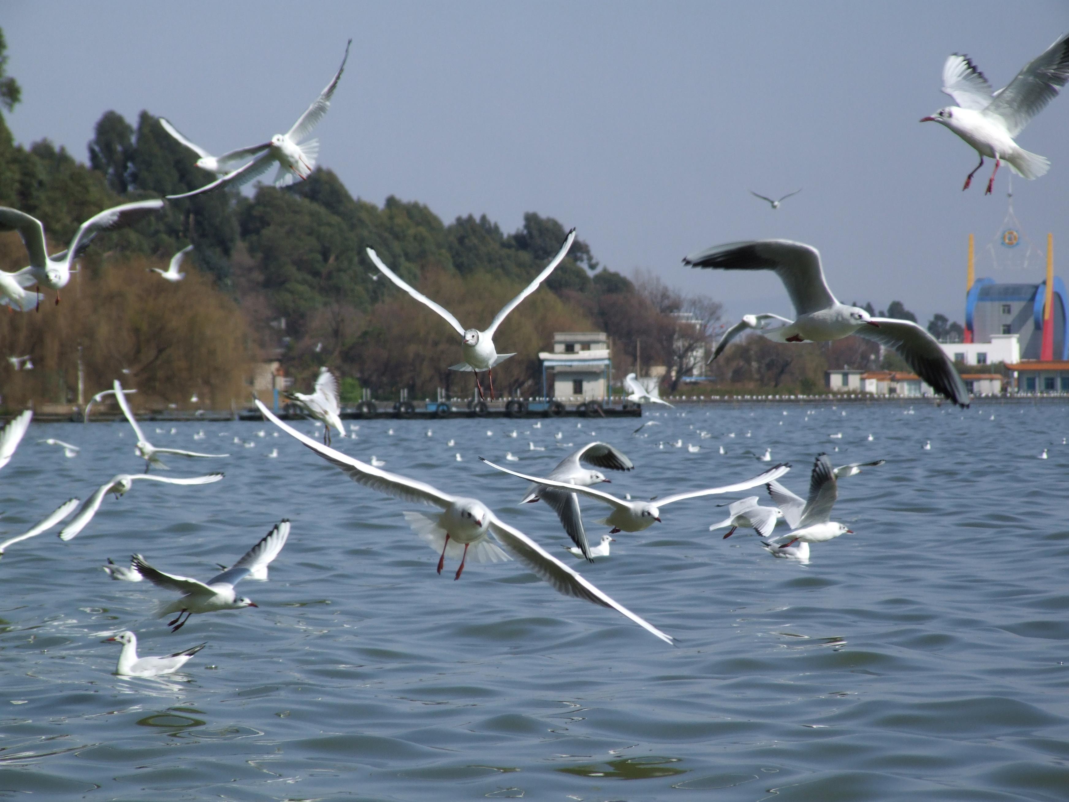 DSCF4105.JPG