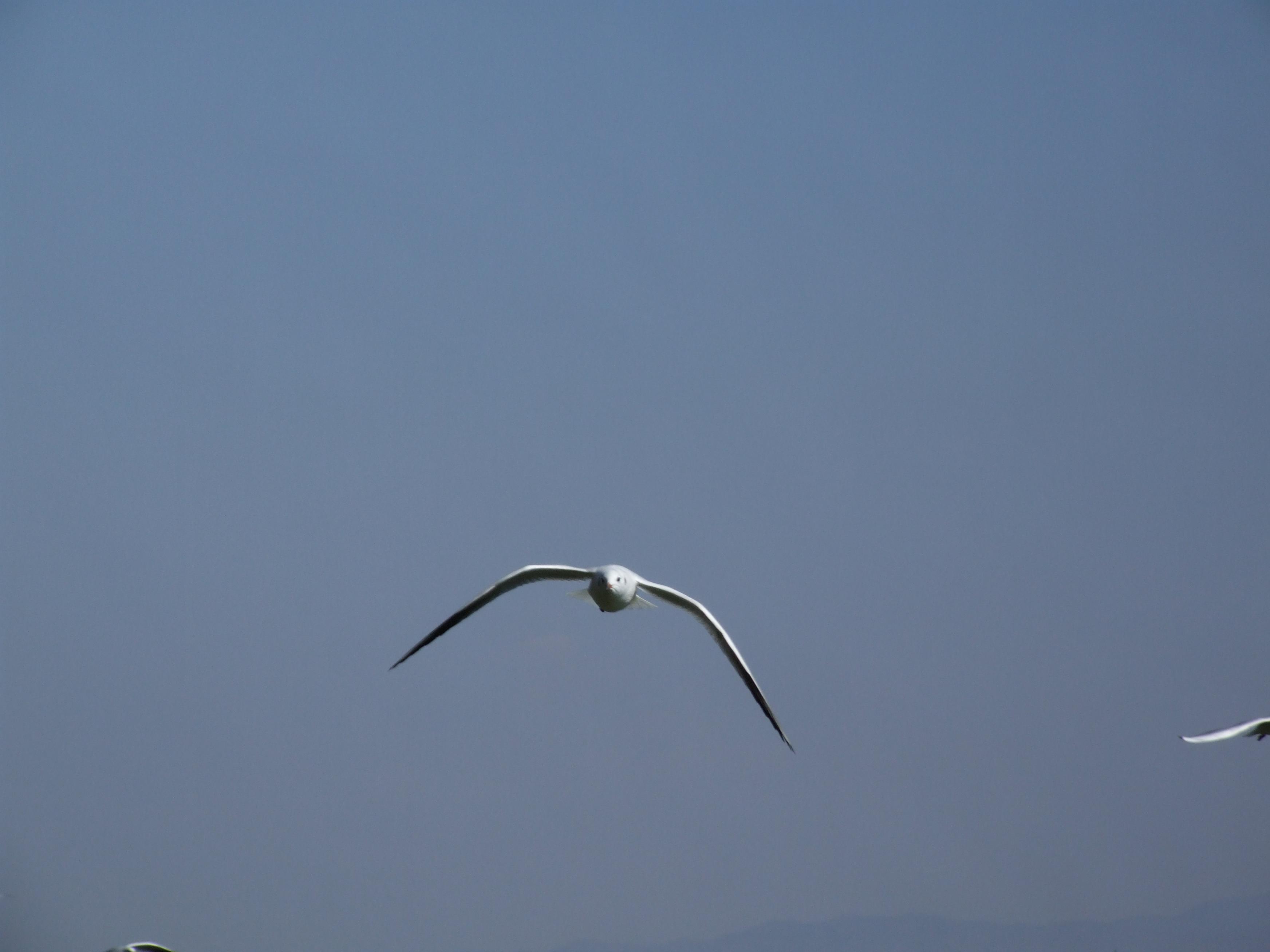 DSCF4113.JPG