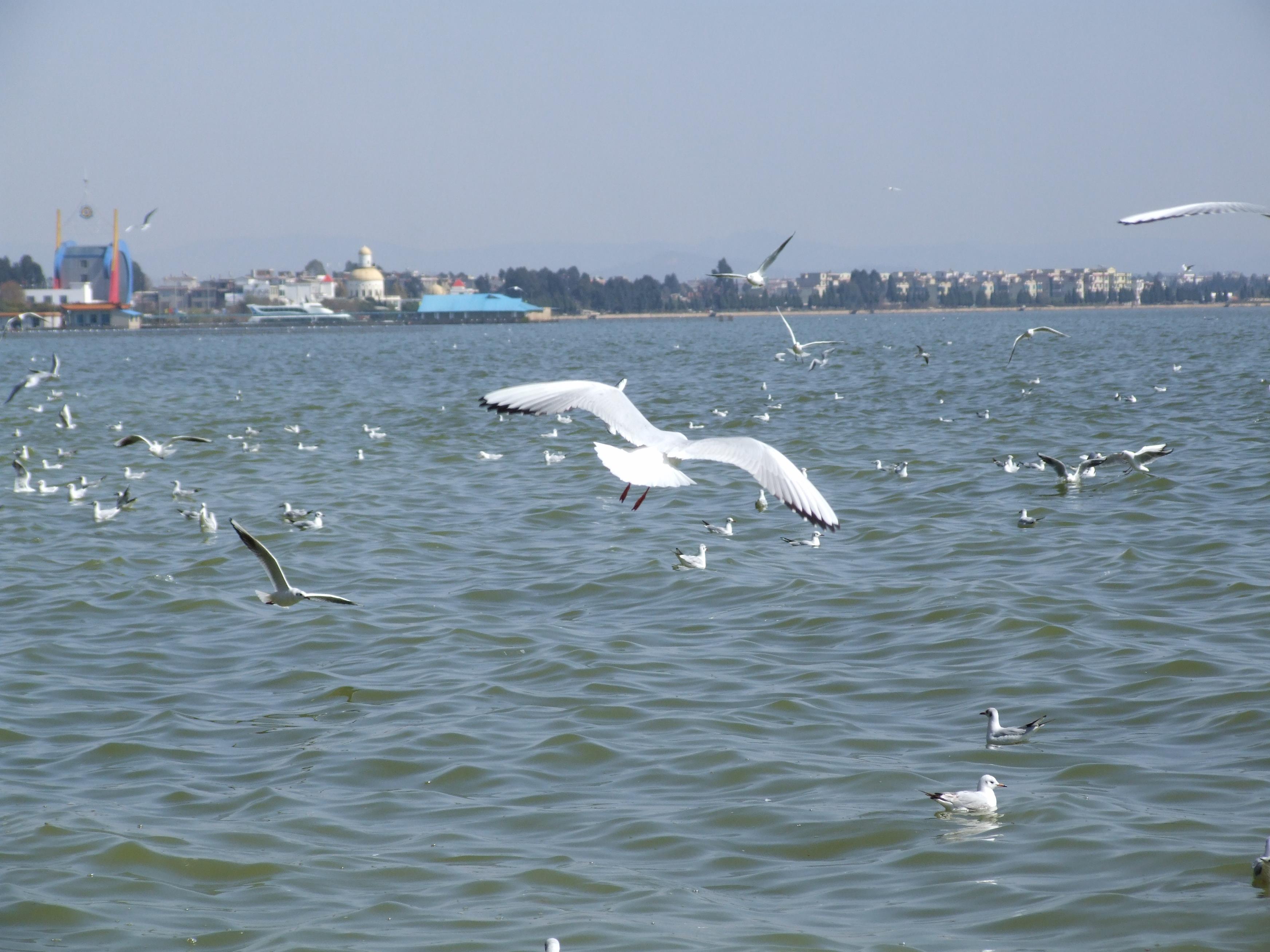 DSCF4078.JPG