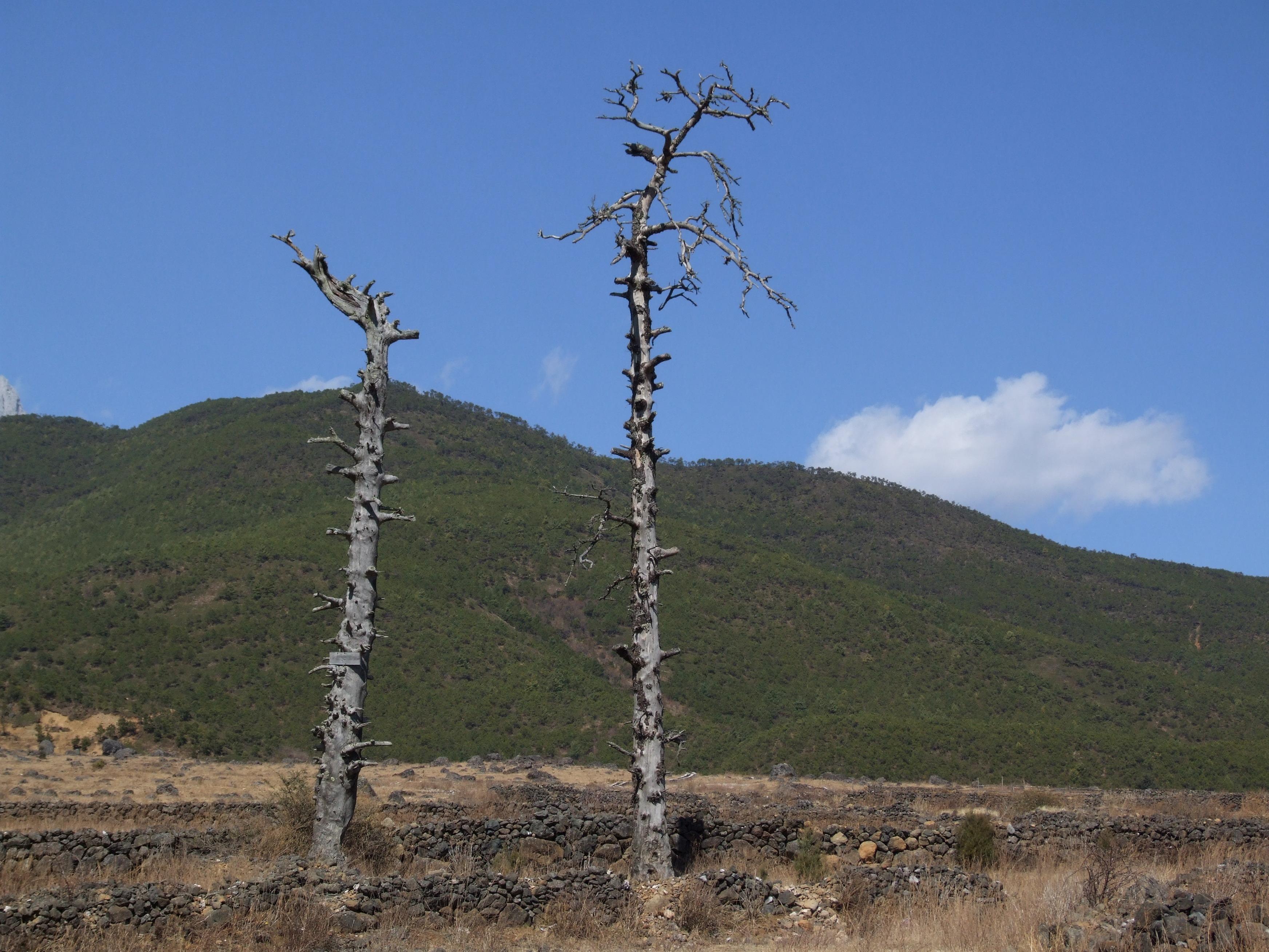DSCF3914.JPG