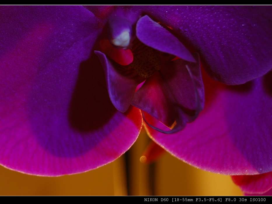DSC_0336,,.jpg