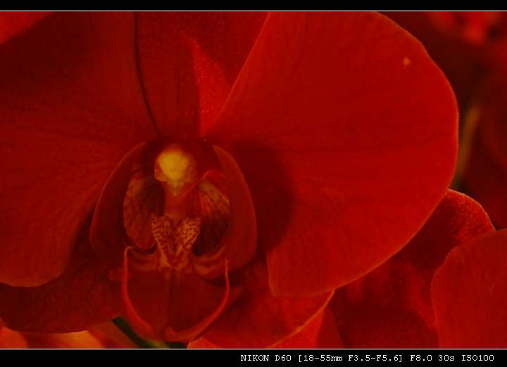 DSC_0332 (3),,.jpg