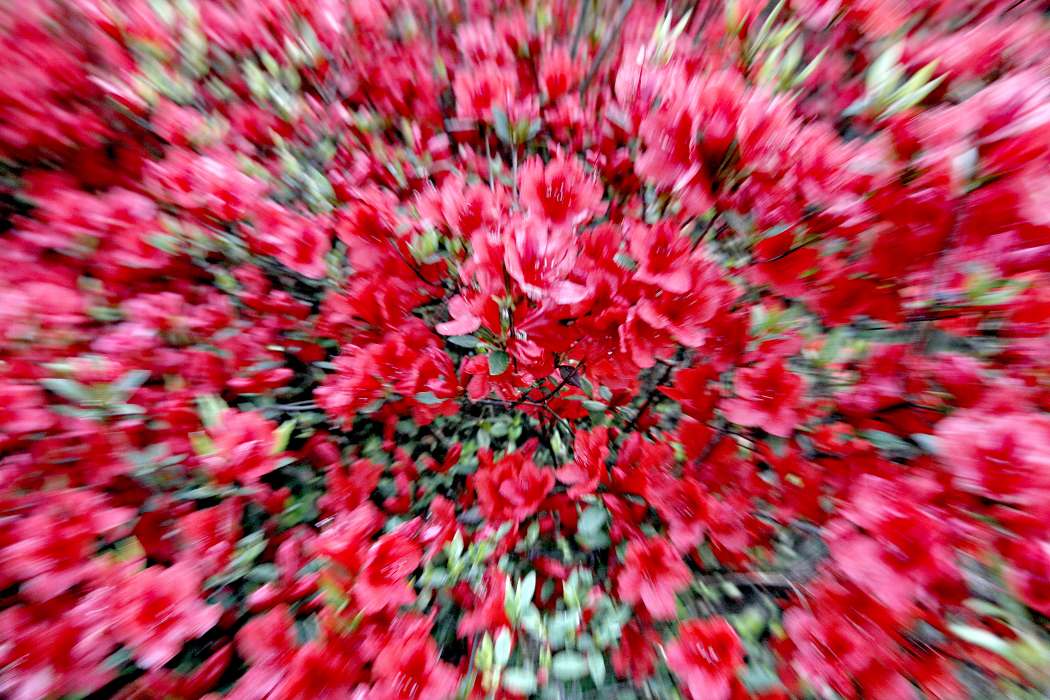 _MG_8988.jpg