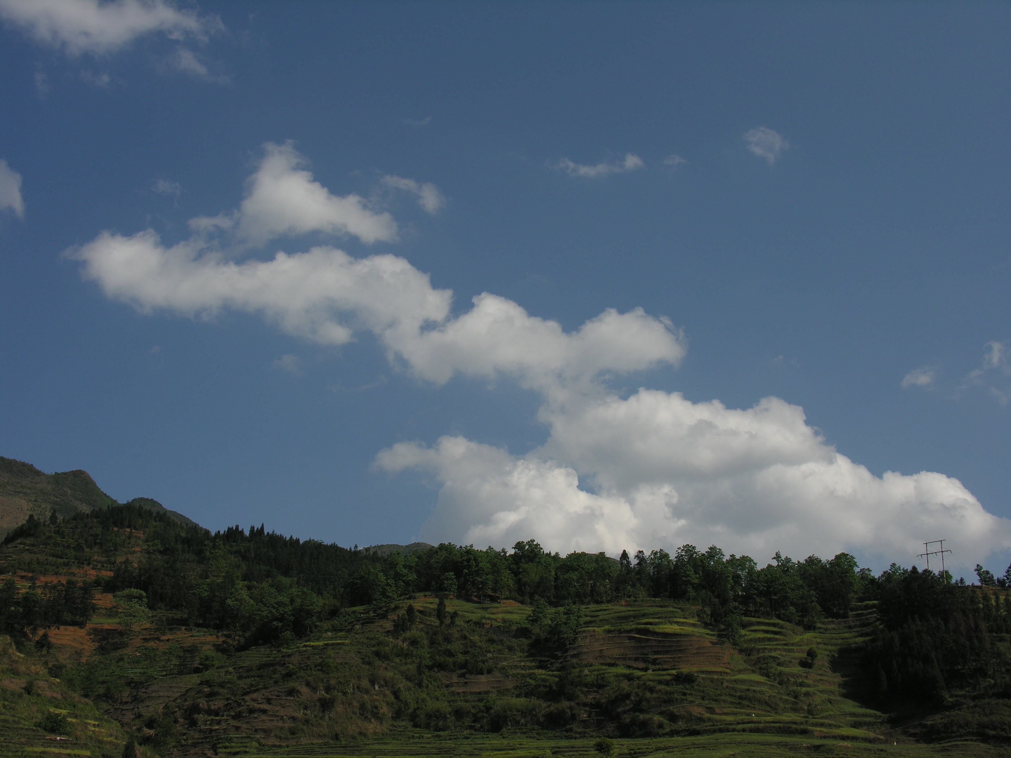 DSCN6508.JPG