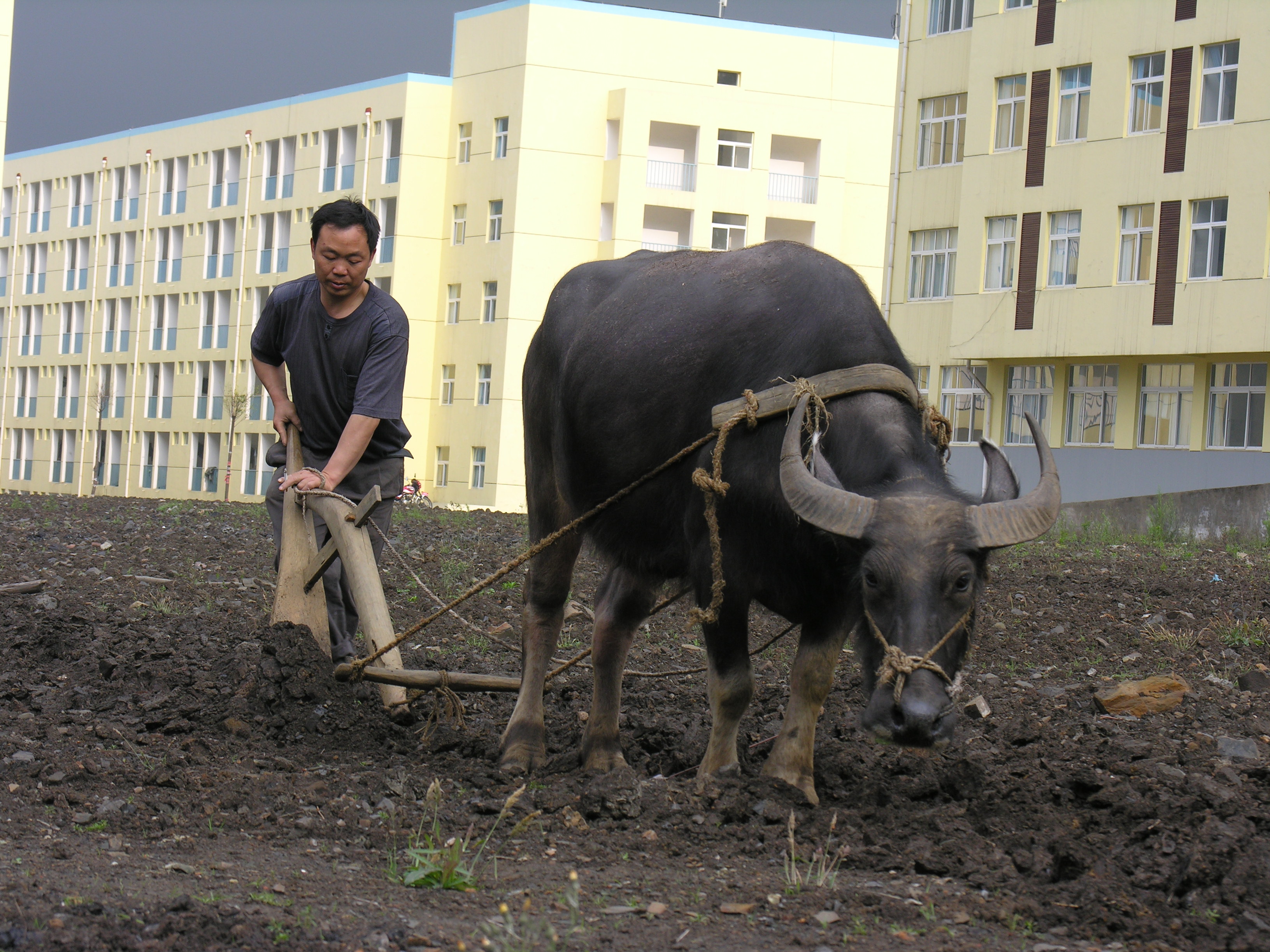 DSCN6193.JPG