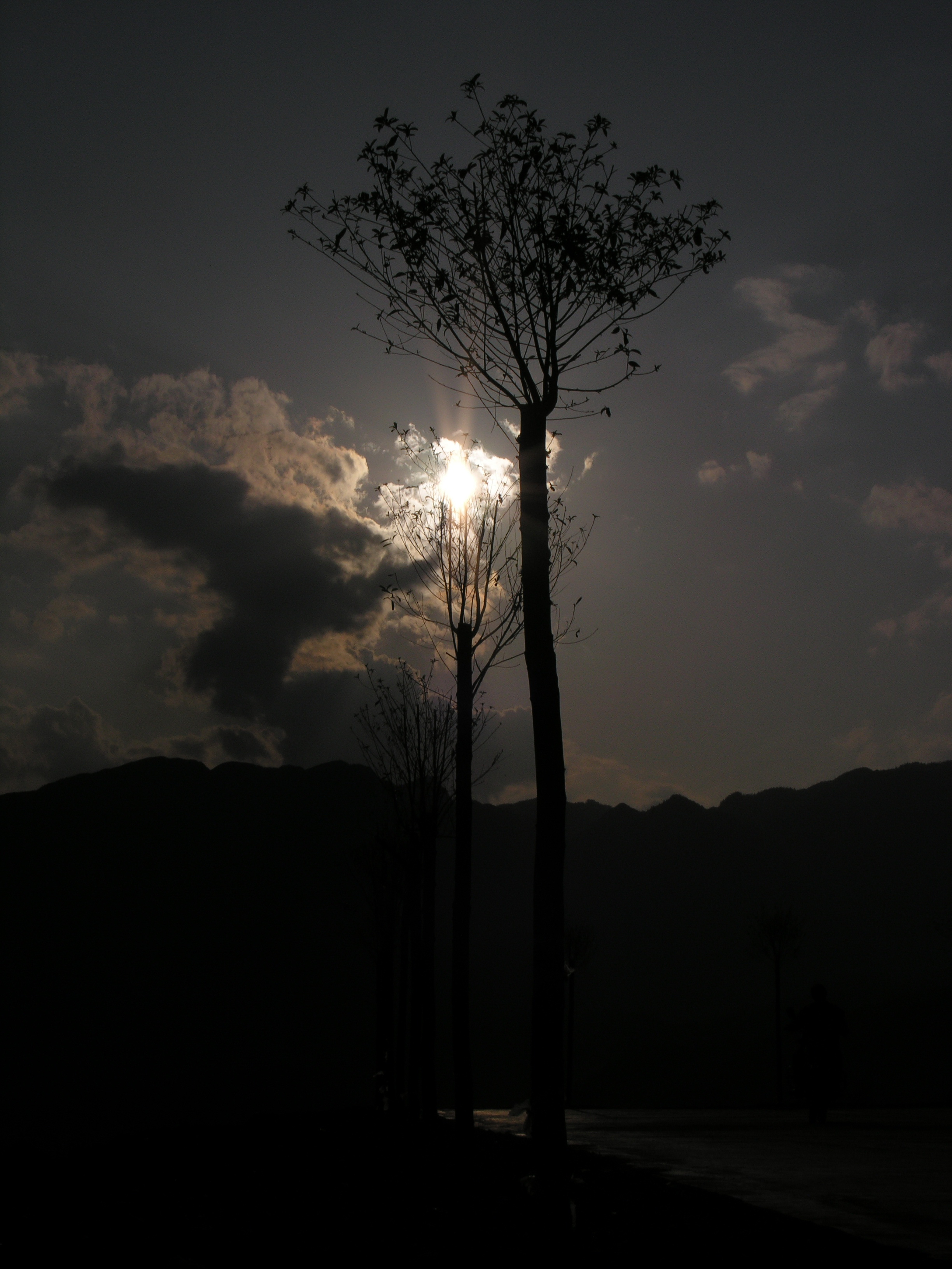 DSCN6596.jpg