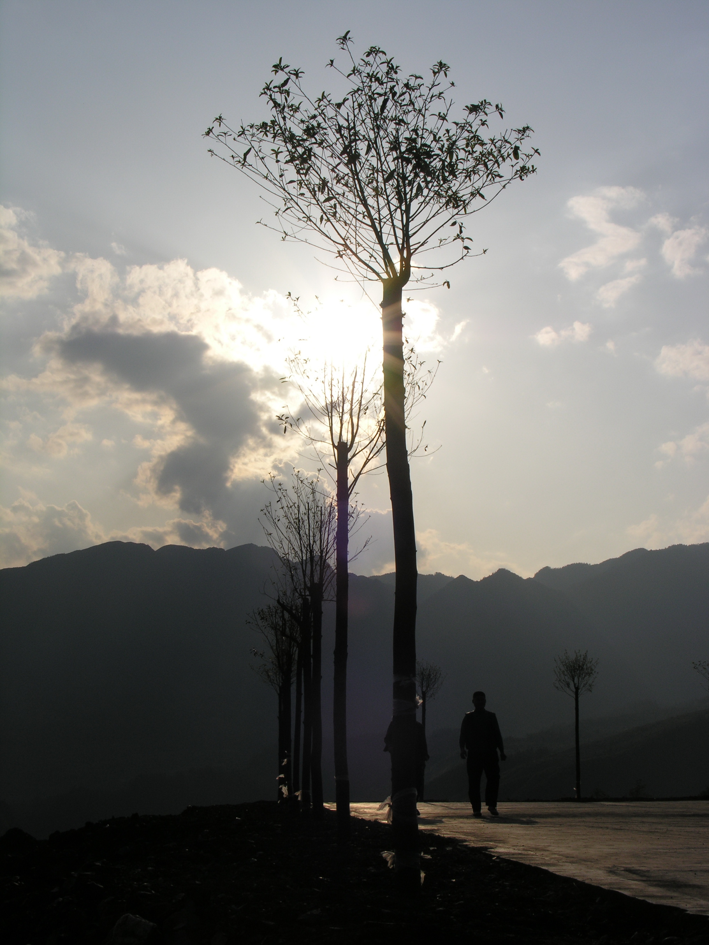 DSCN6594.jpg