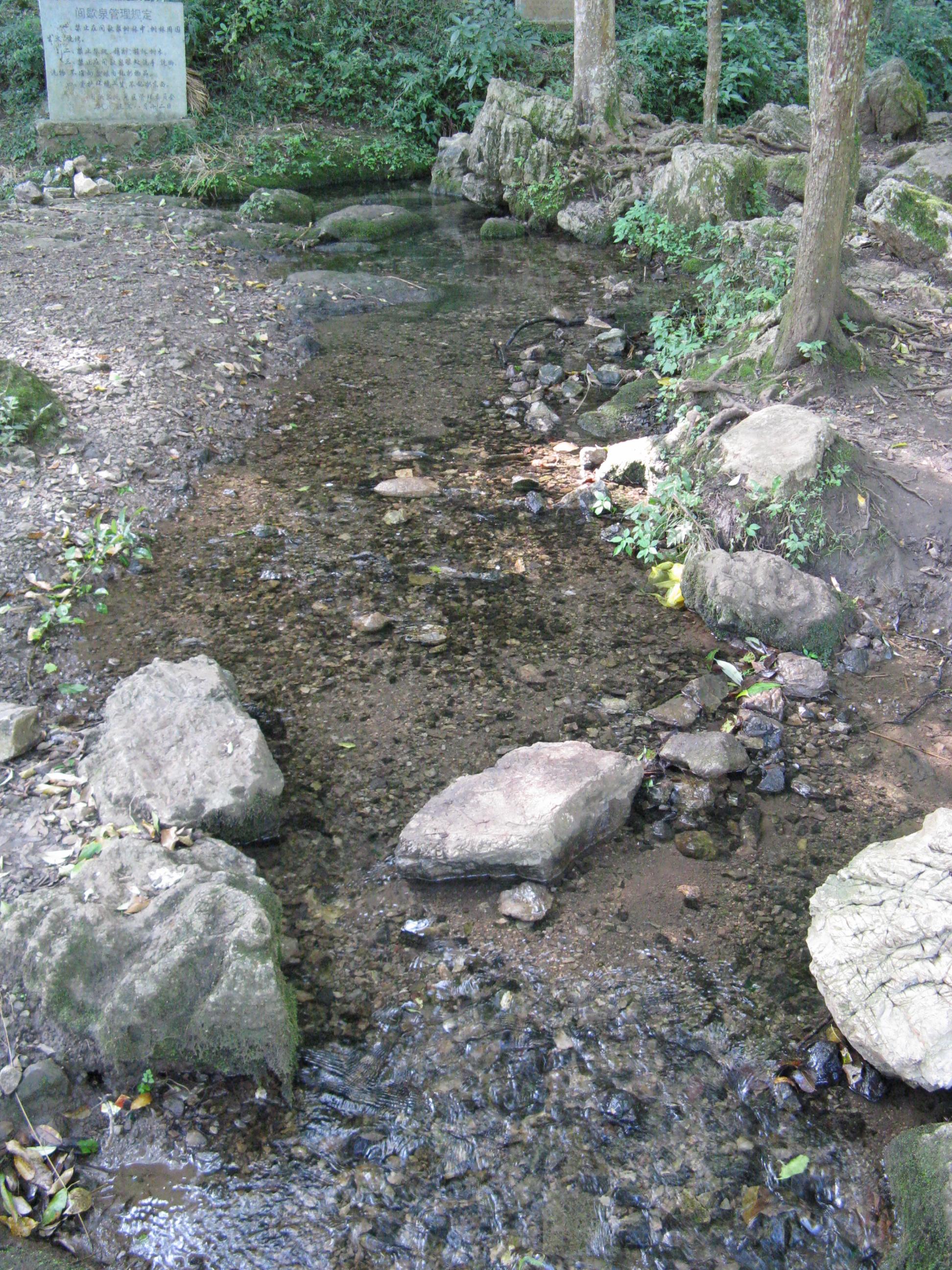 IMG_1546.JPG