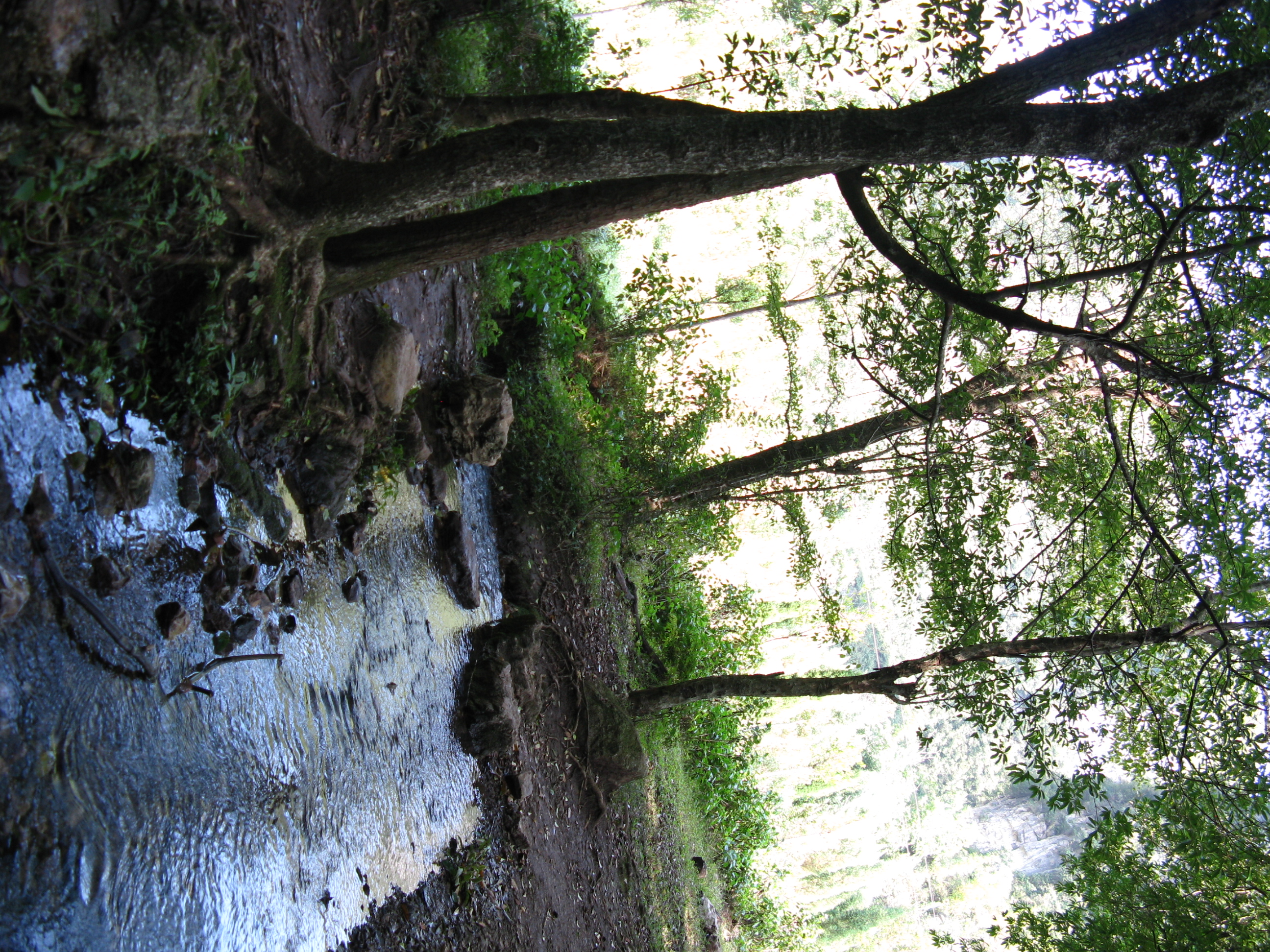 IMG_1586.JPG