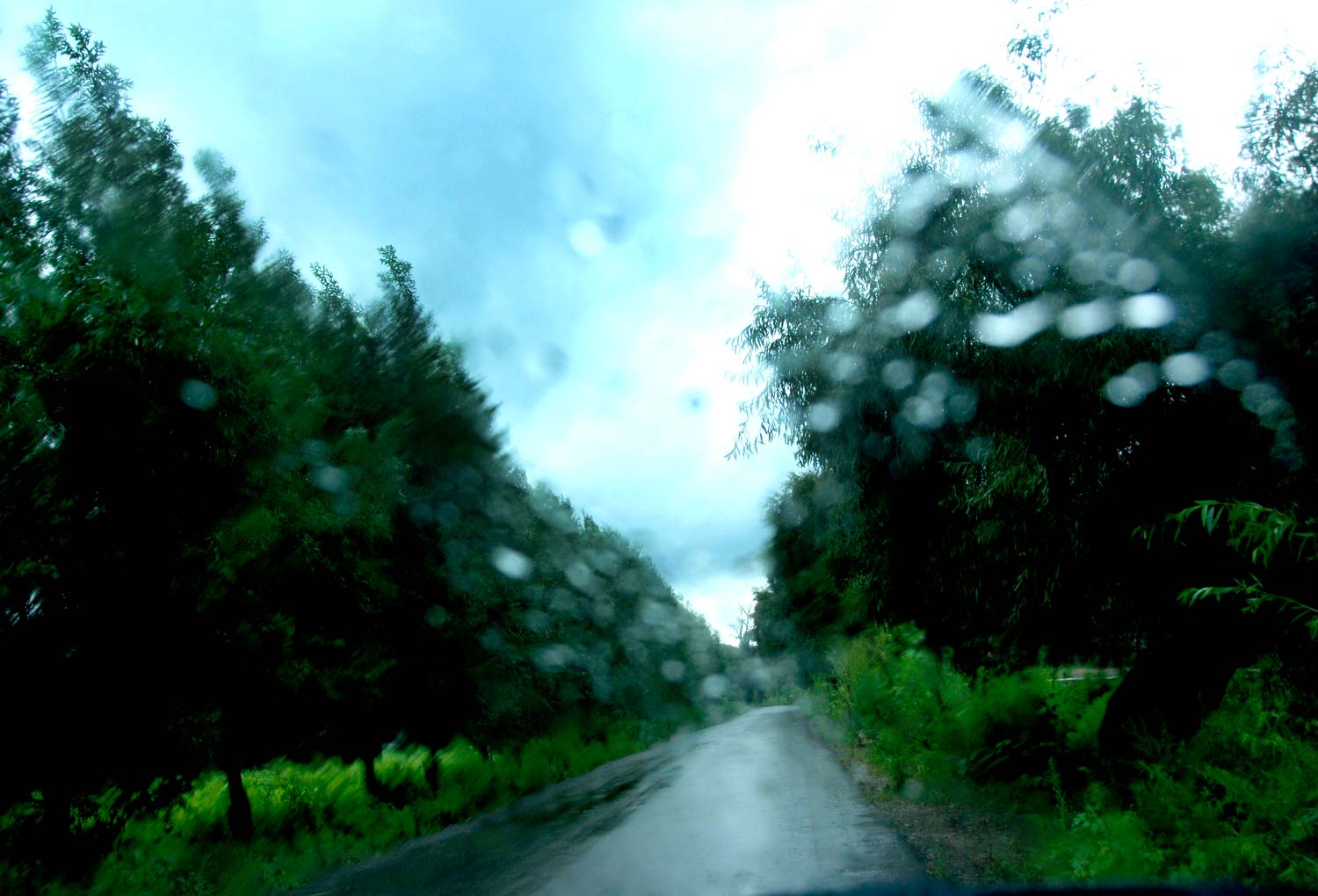 DSC_9625.jpg