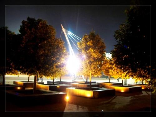 100_2415[1].jpg.thumb.jpg