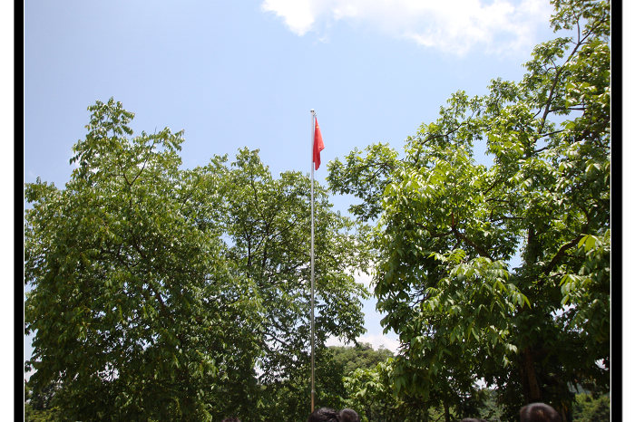 nEO_IMG_DSC00393.jpg