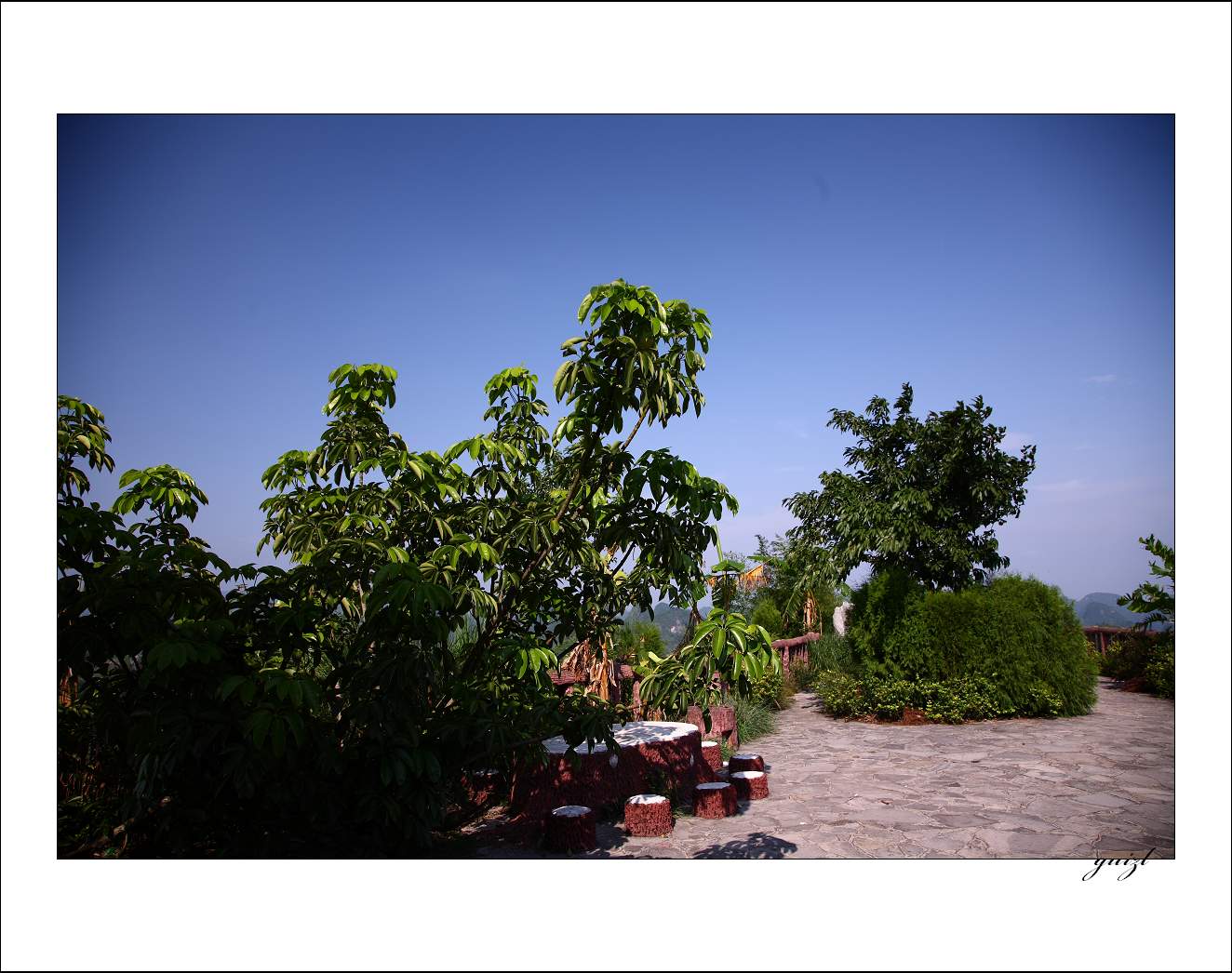 DPP_0005.jpg